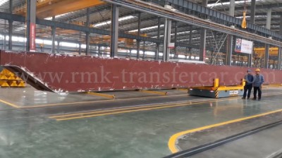 Rail transfer trolley